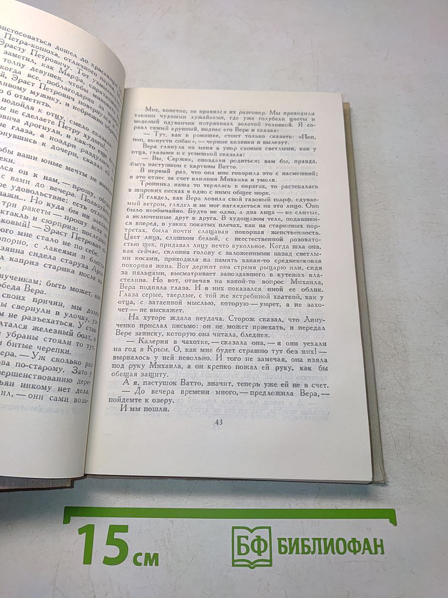 Одеты камнем. Михайловский замок