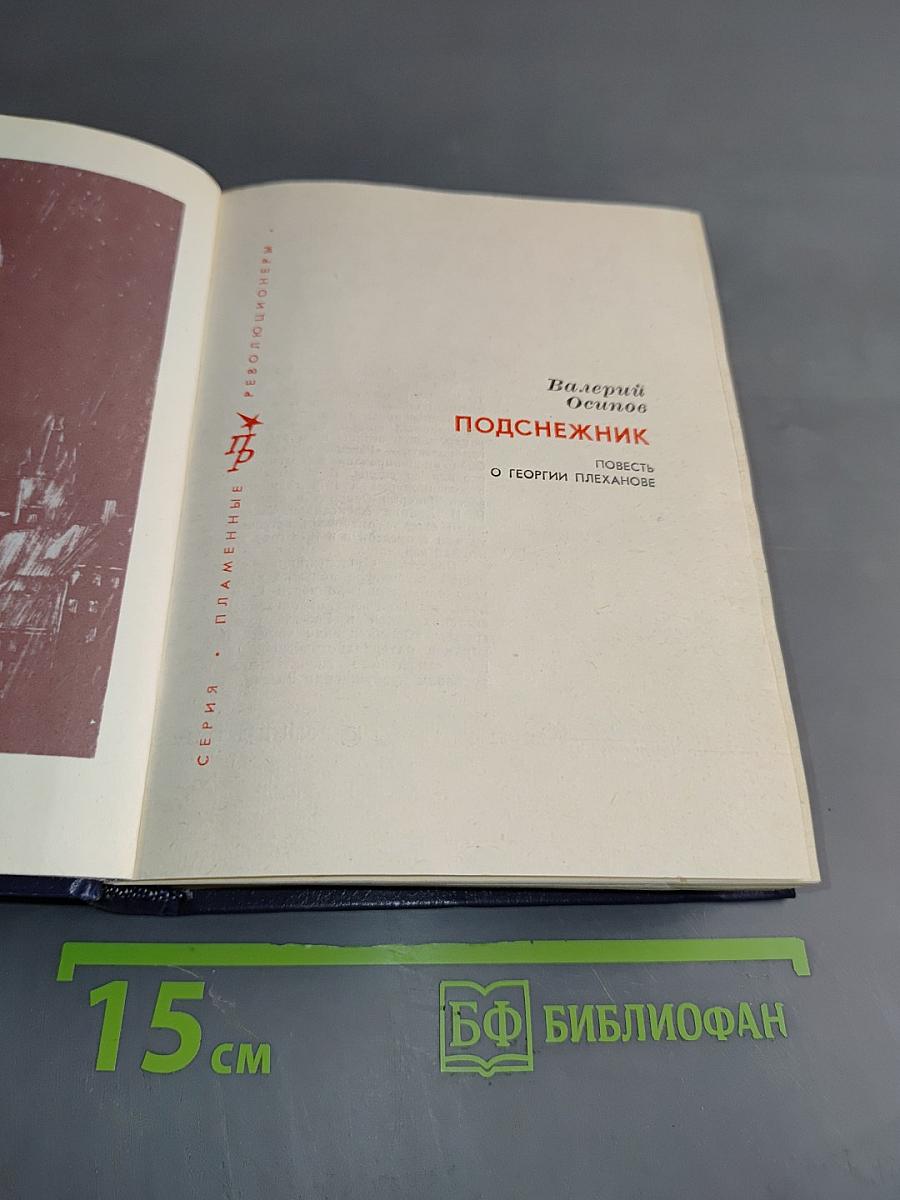Подснежник