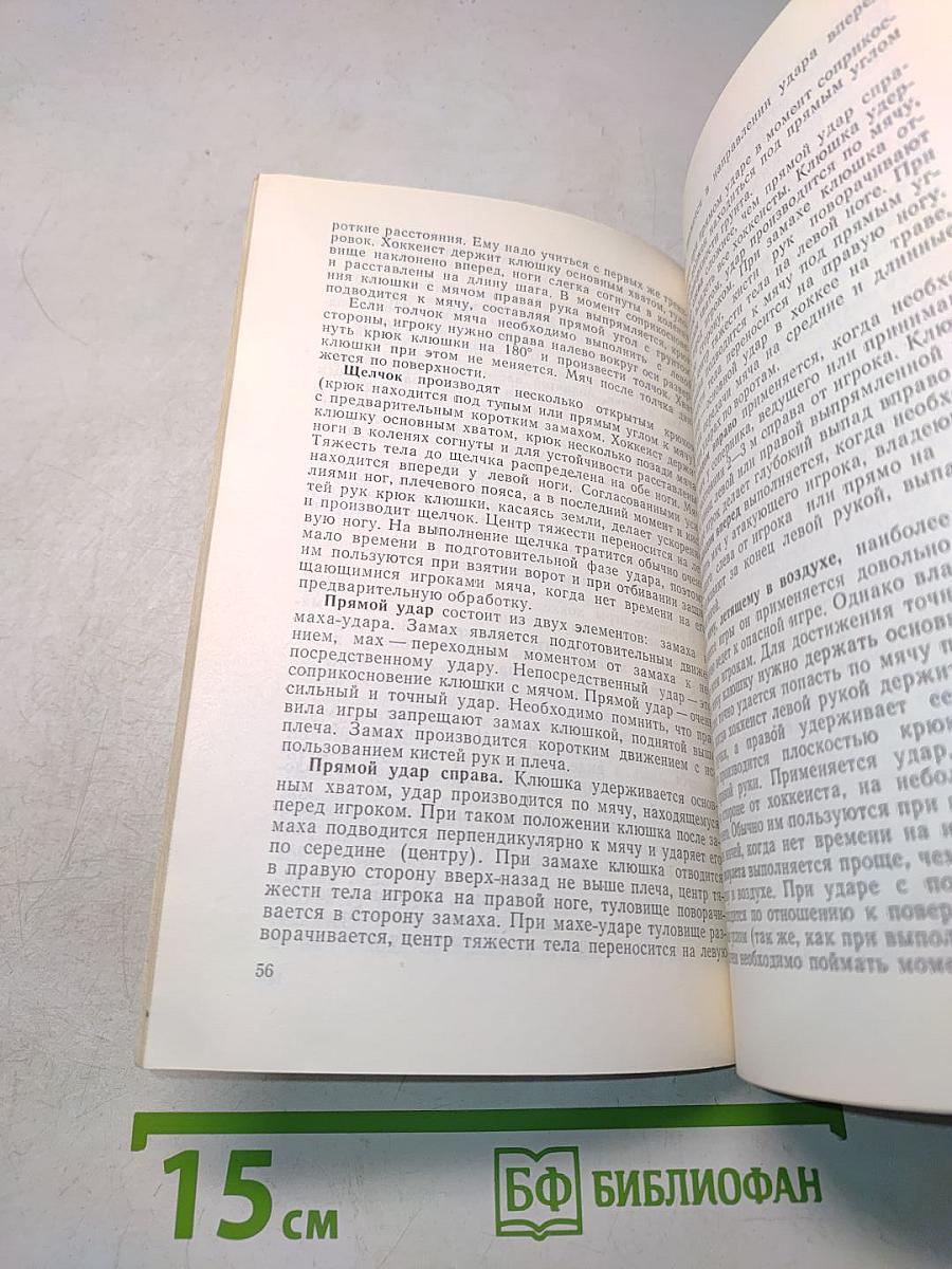 Тайны летнего хоккея
