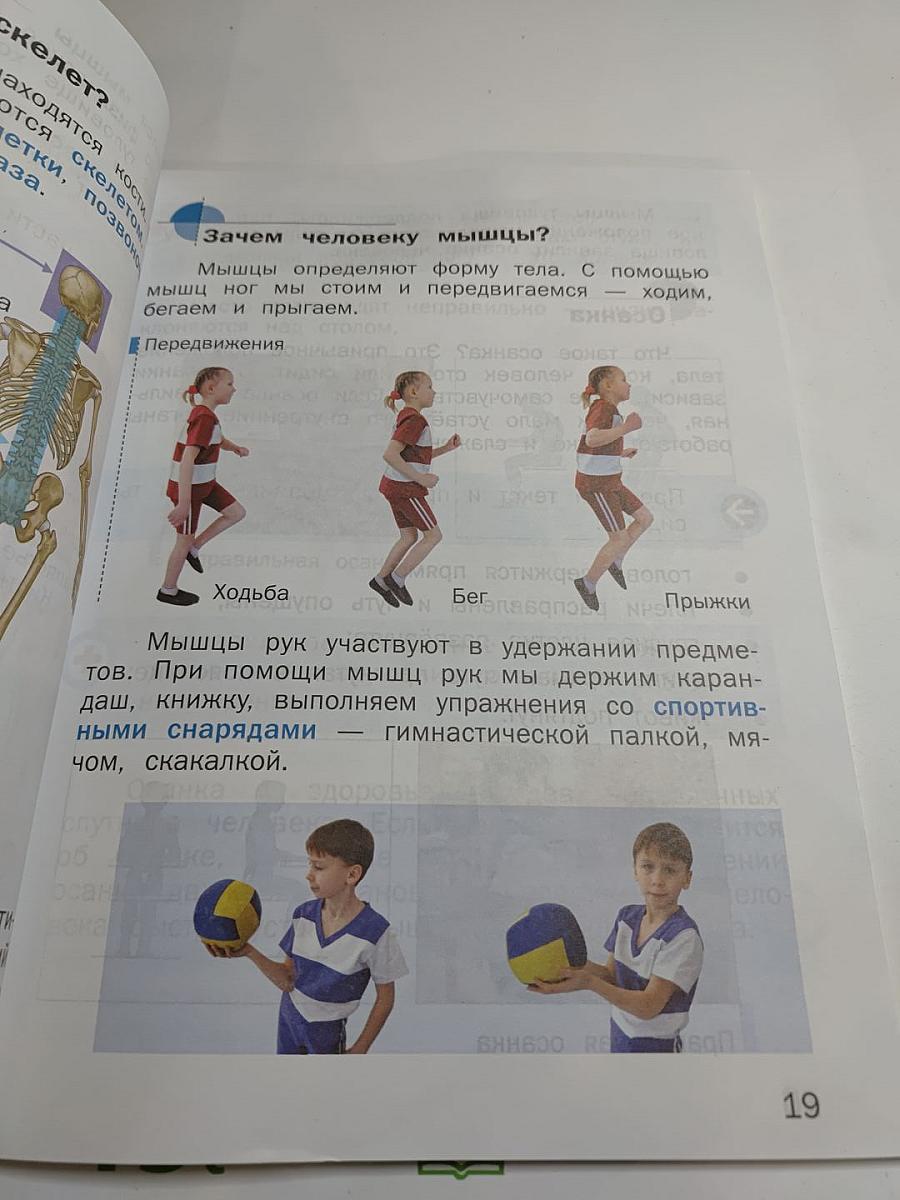 Физическая культура, 1-2 классы