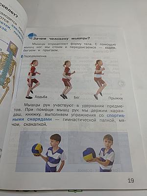 Физическая культура, 1-2 классы