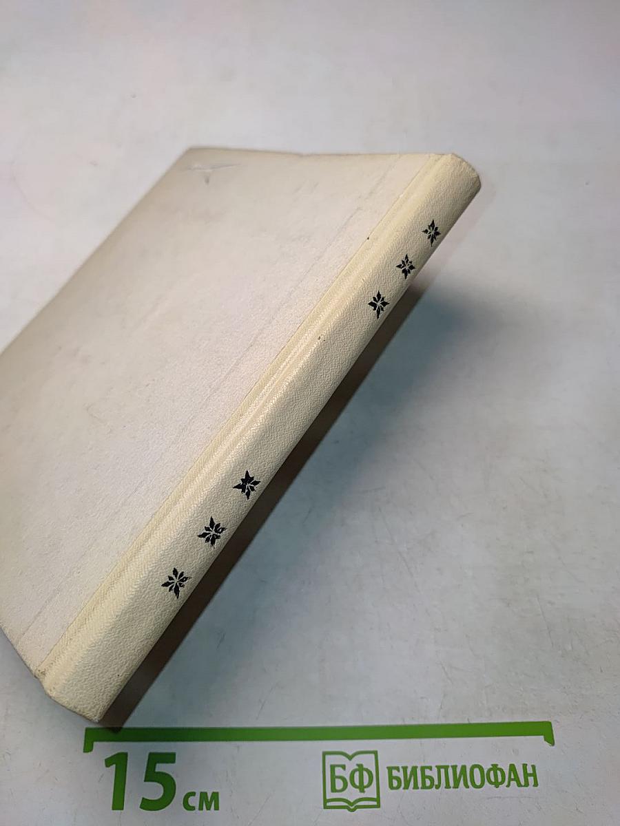 Рыцарь книги