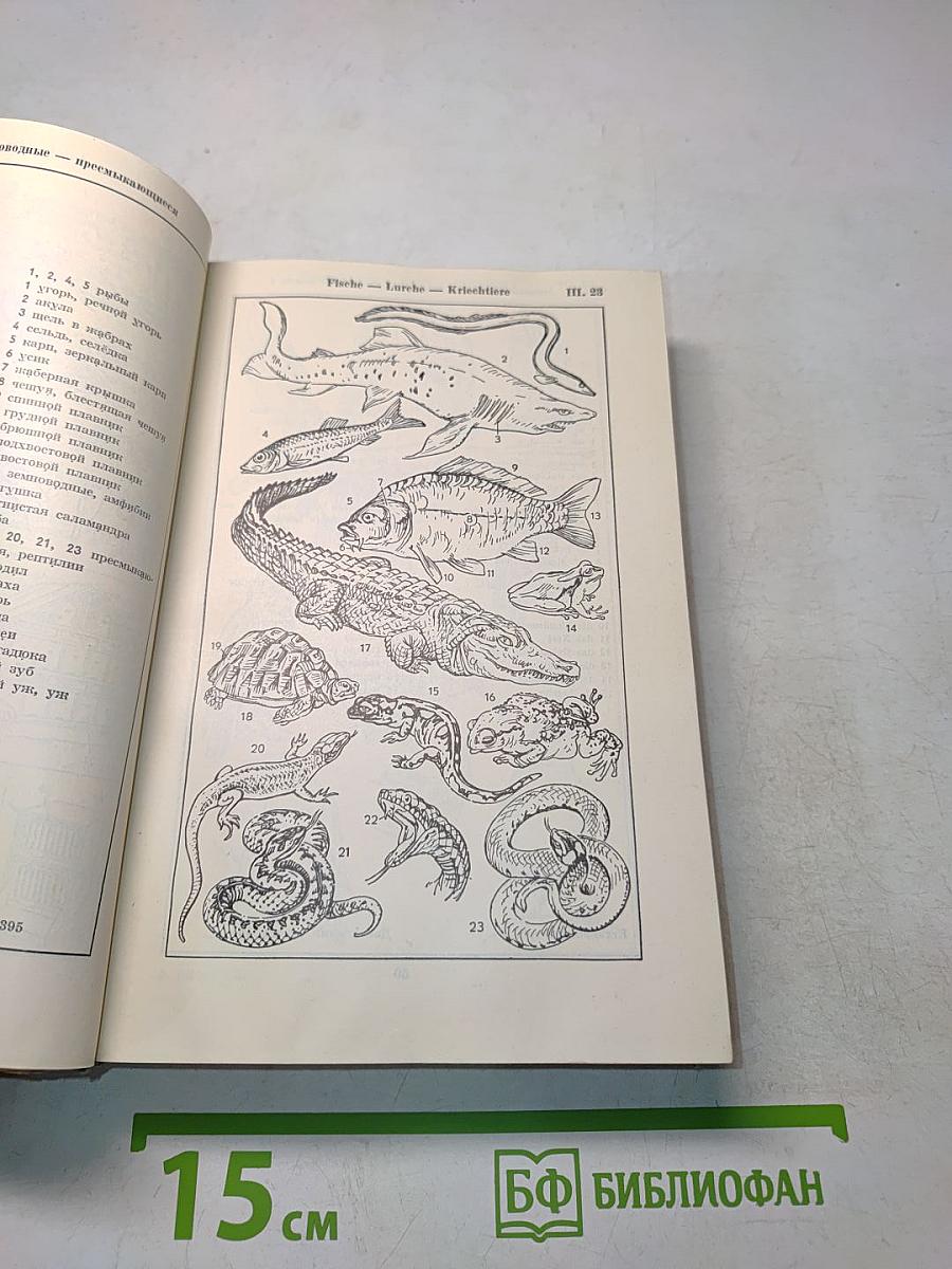 Bildwörterbuch Deutsch und Russisch