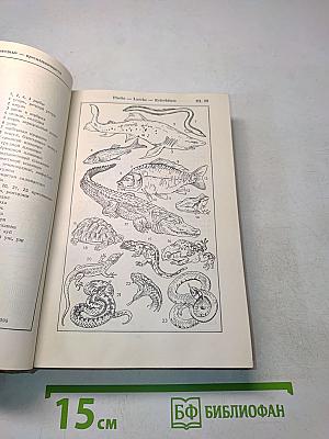 Bildwörterbuch Deutsch und Russisch