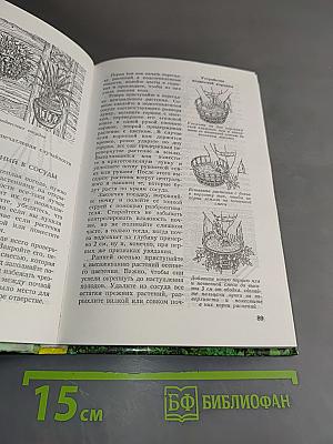 Цветы в вашем саду