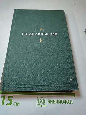 Полное собрание сочинений. Том VIII. Монт-Ориоль. Избранник г-жи Гюссон