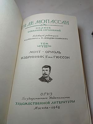 Полное собрание сочинений. Том VIII. Монт-Ориоль. Избранник г-жи Гюссон