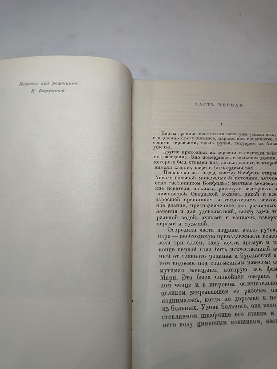 Полное собрание сочинений. Том VIII. Монт-Ориоль. Избранник г-жи Гюссон