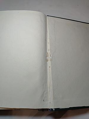 Полное собрание сочинений. Том VIII. Монт-Ориоль. Избранник г-жи Гюссон