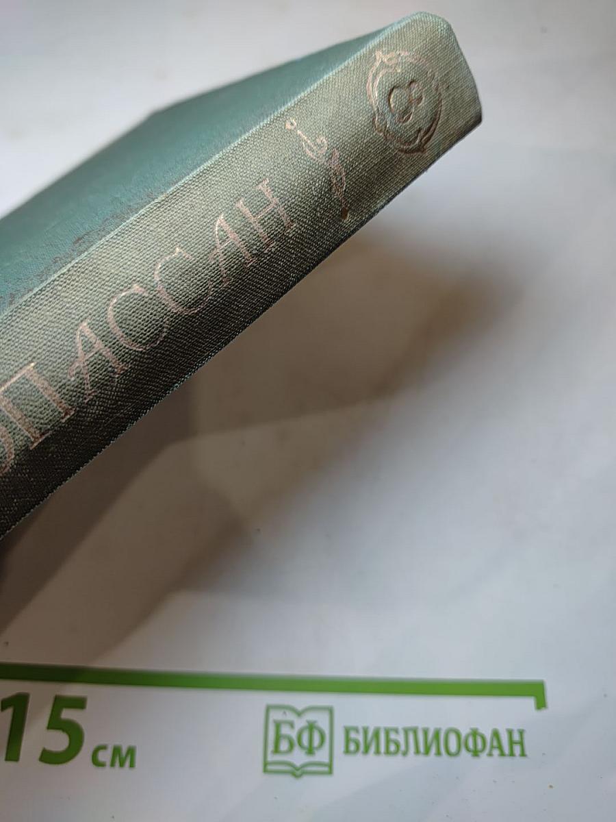 Полное собрание сочинений. Том VIII. Монт-Ориоль. Избранник г-жи Гюссон