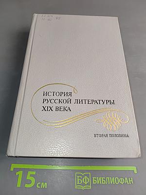 История русской литературы XIX века. Вторая половина