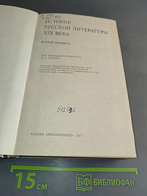 История русской литературы XIX века. Вторая половина