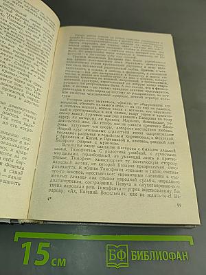 История русской литературы XIX века. Вторая половина