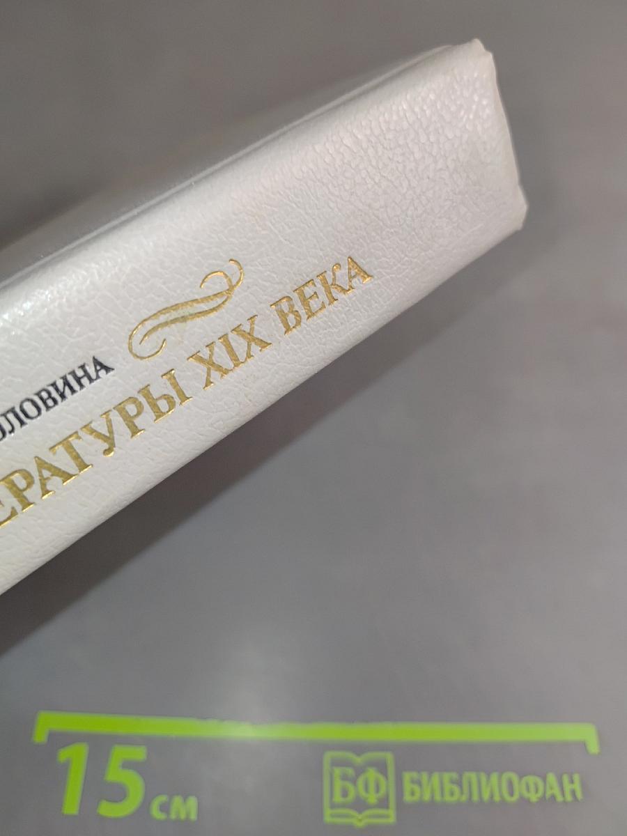 История русской литературы XIX века. Вторая половина