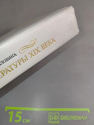История русской литературы XIX века. Вторая половина