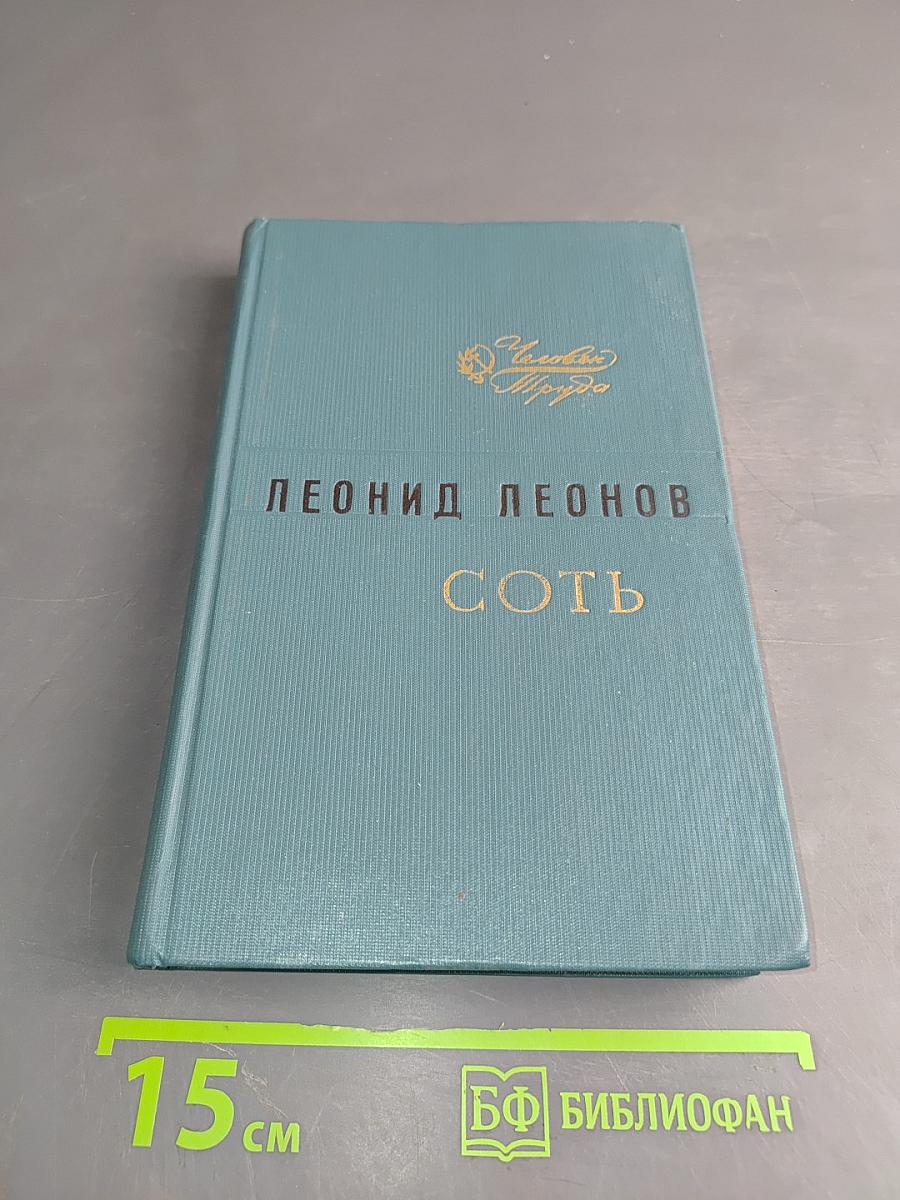 Соть