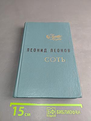 Соть
