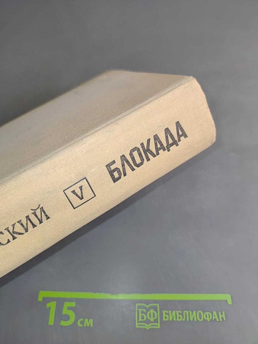 Блокада. Роман. Книга пятая