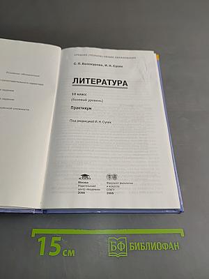 Литература. Практикум. 10 класс (базовый уровень)