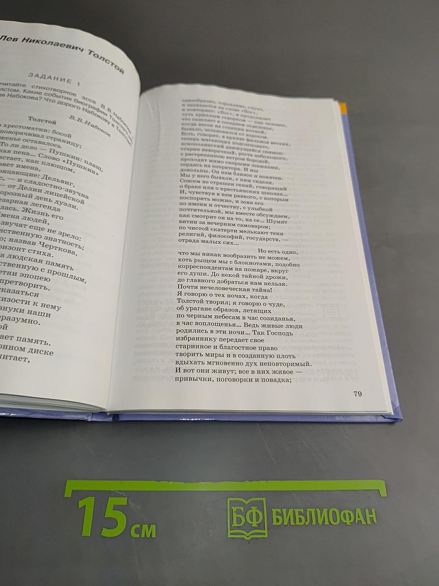 Литература. Практикум. 10 класс (базовый уровень)