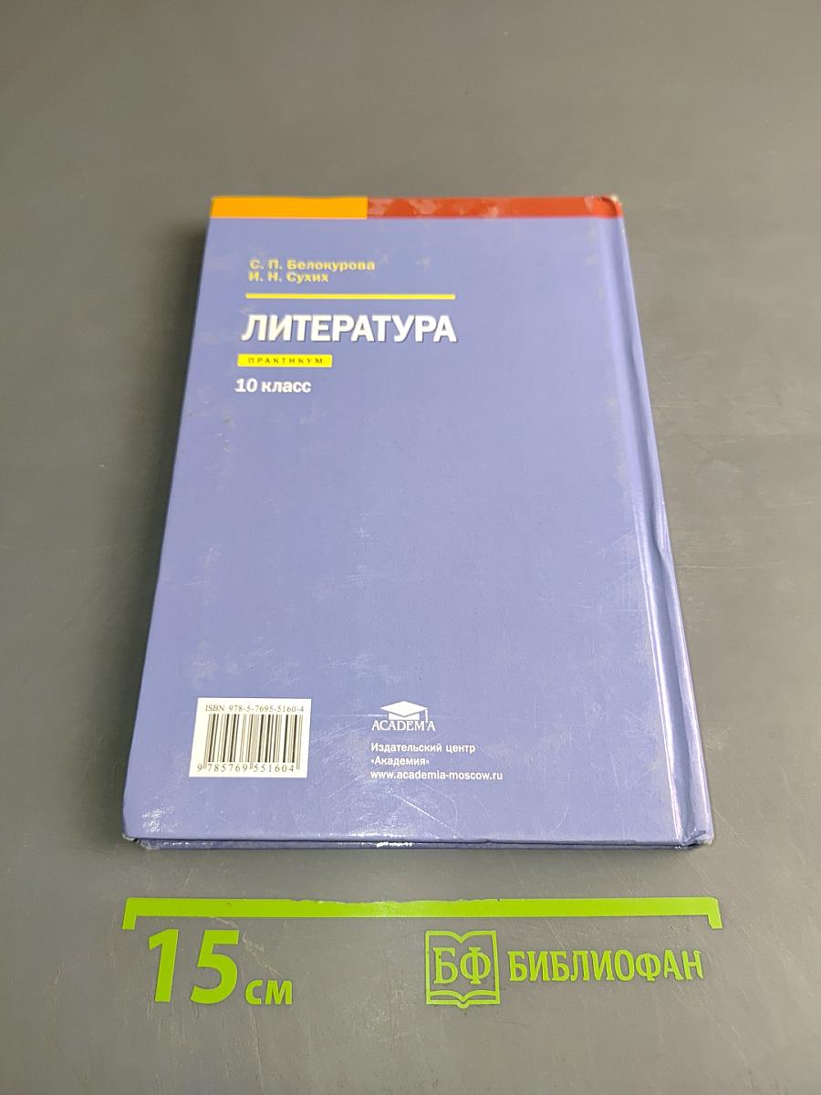 Литература. Практикум. 10 класс (базовый уровень)