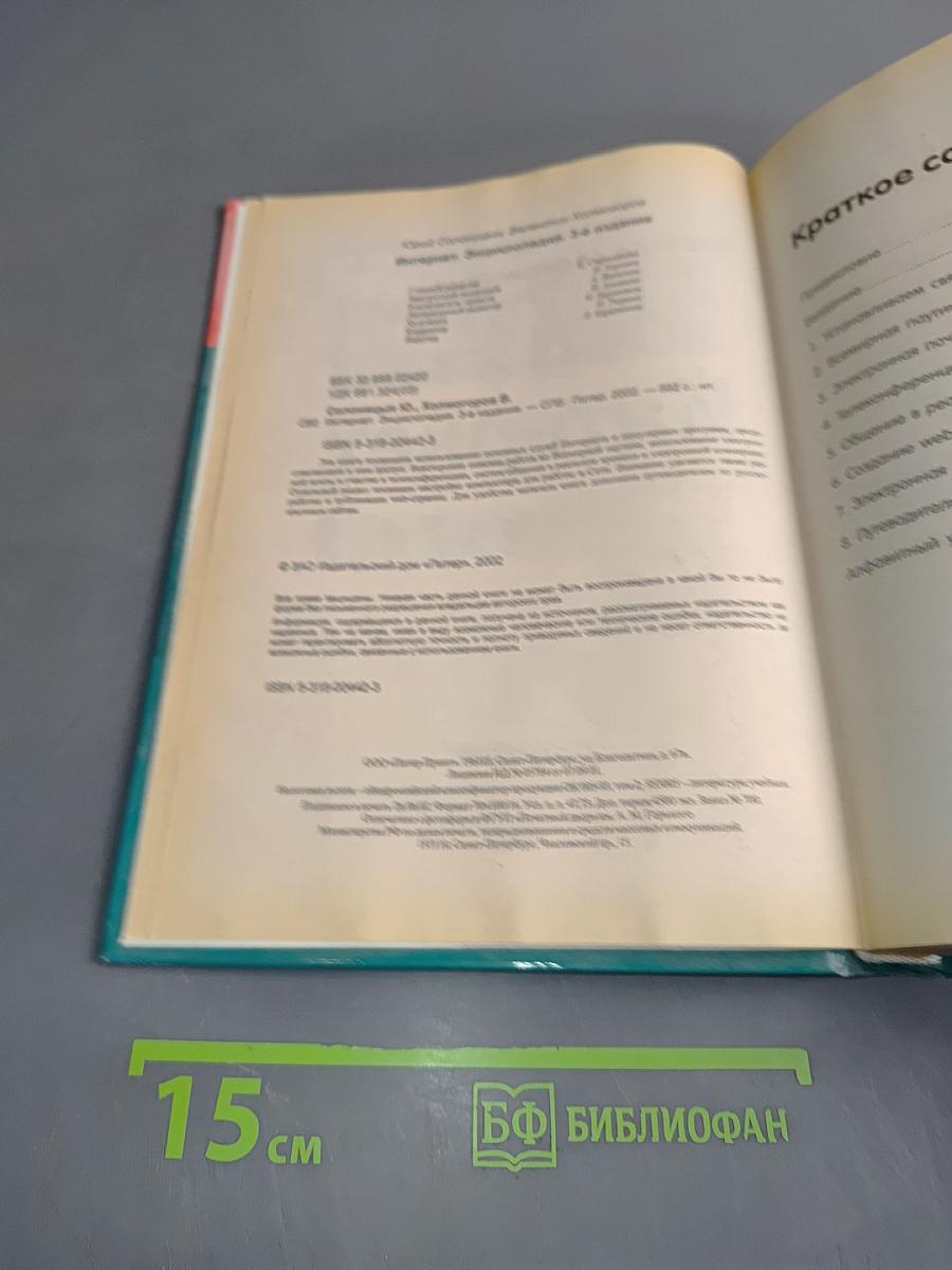 Энциклопедия Интернет 3
