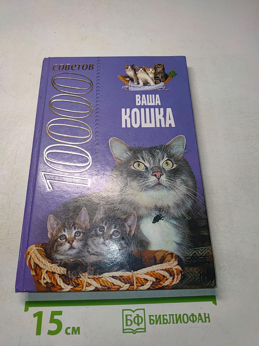 10000 советов. Ваша кошка