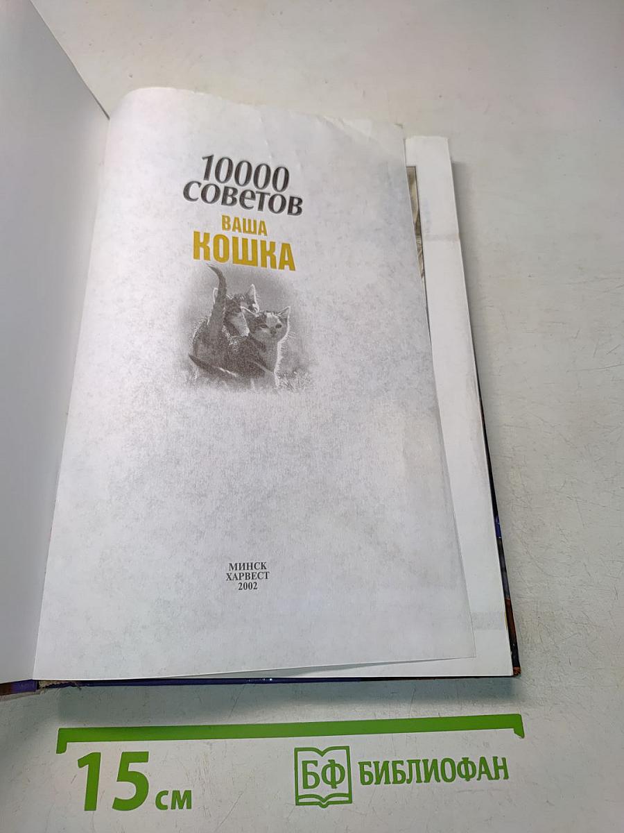 10000 советов. Ваша кошка