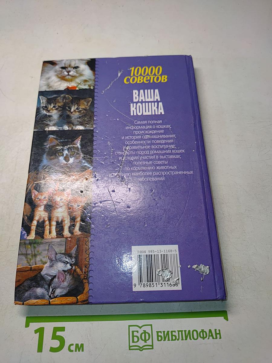 10000 советов. Ваша кошка