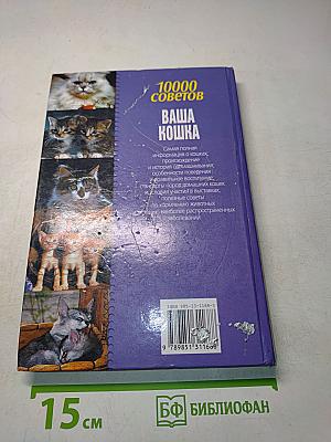 10000 советов. Ваша кошка