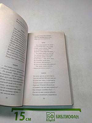 Евгений Онегин