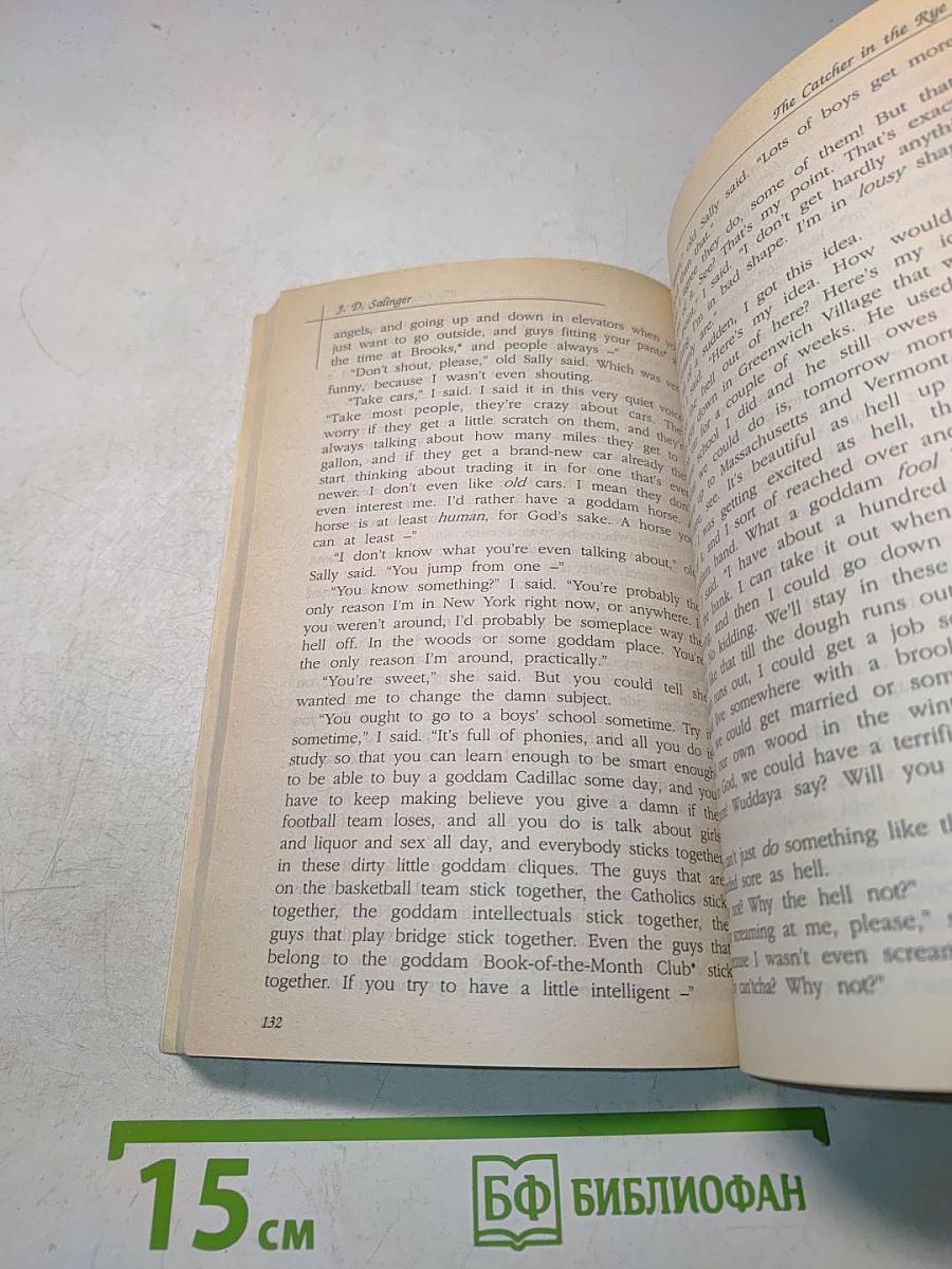 The Catcher in the Rye