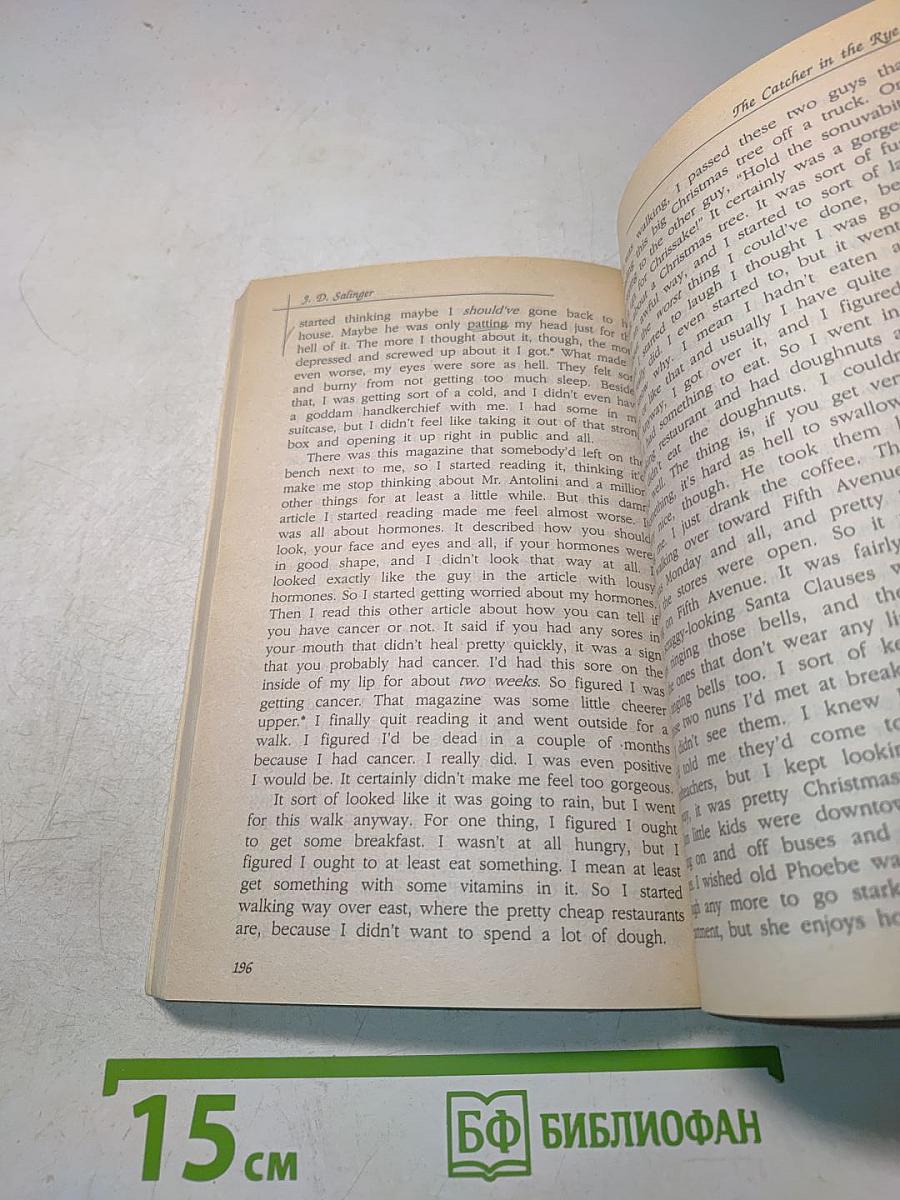 The Catcher in the Rye