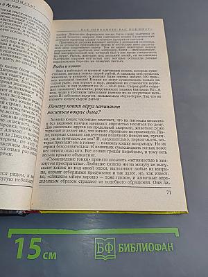 300 кошачьих "почему?"