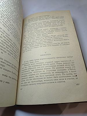 Виконт де Бражелон, или Десять лет спустя. Часть V