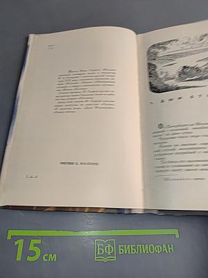 Миллион терзаний