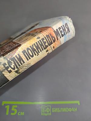 Если покинешь меня