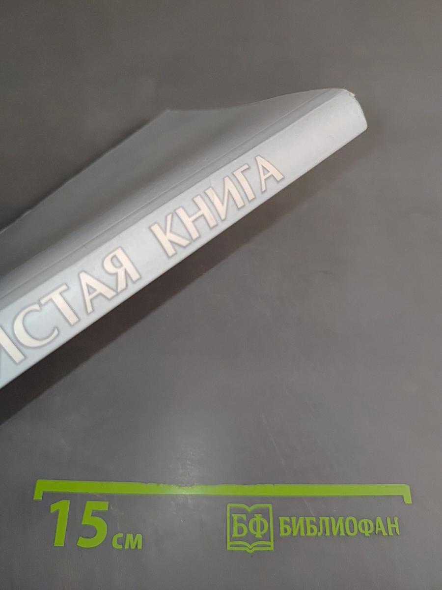 Чистая книга. Незавершенный роман