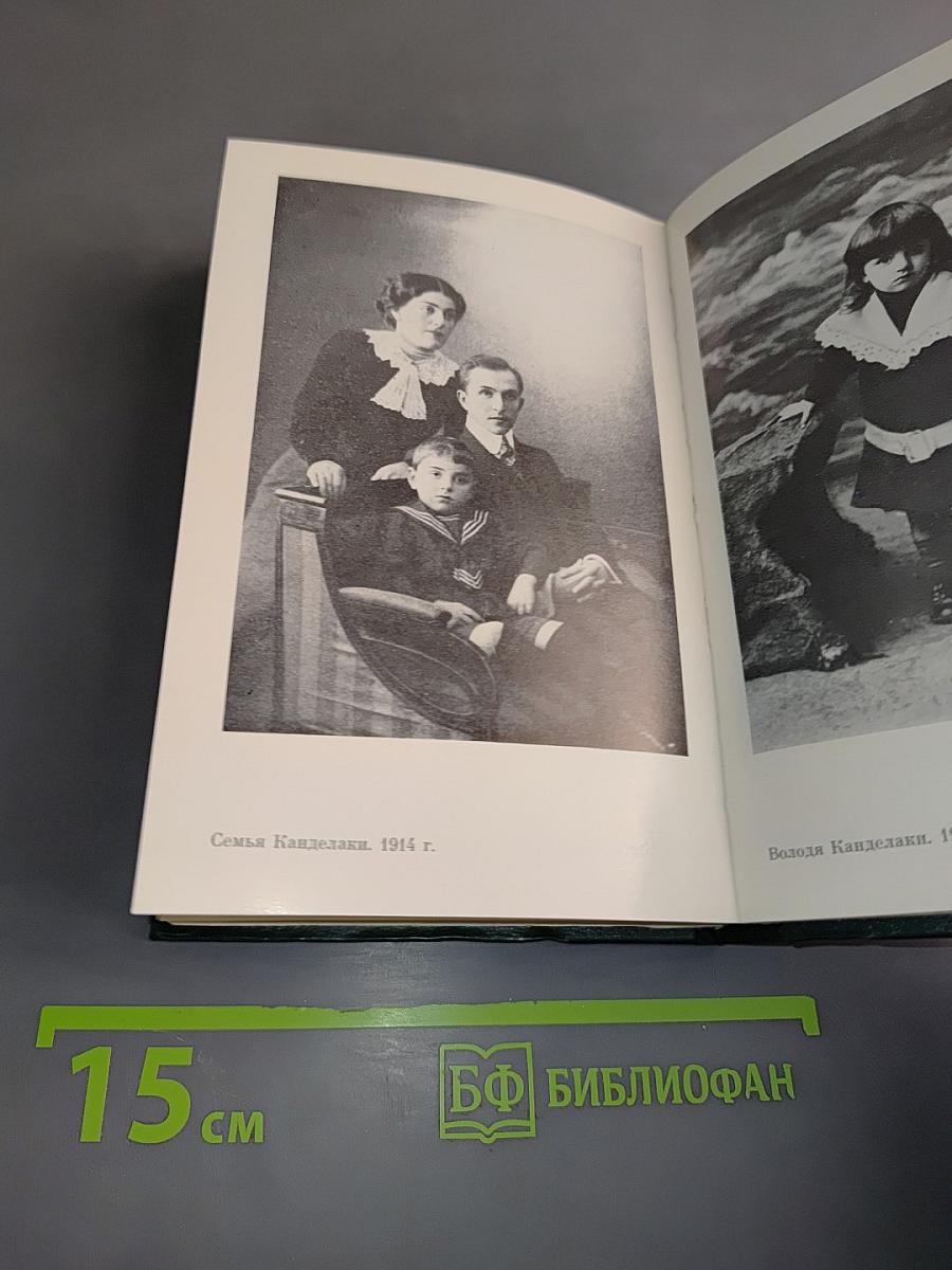 Владимир Канделаки