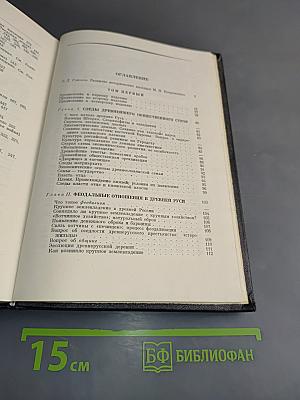 Избранные произведения. Русская история с древнейших времен (Тома I и II). Книга 1