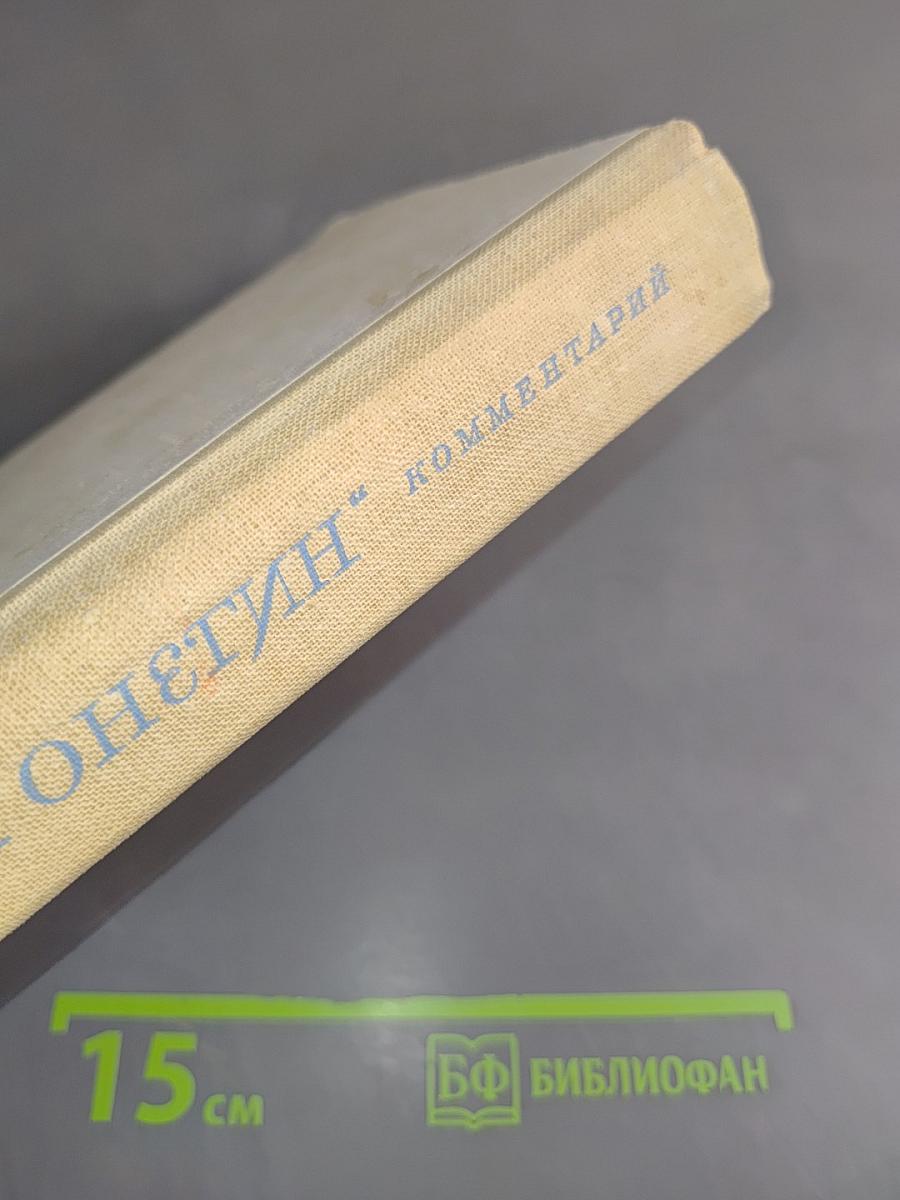 Евгений Онегин. Роман в стихах. Комментарий
