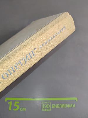 Евгений Онегин. Роман в стихах. Комментарий