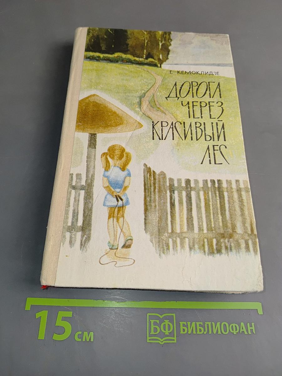 Дорога через красивый лес