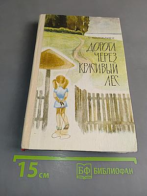 Дорога через красивый лес
