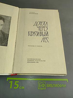 Дорога через красивый лес