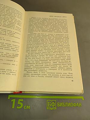 Дорога через красивый лес