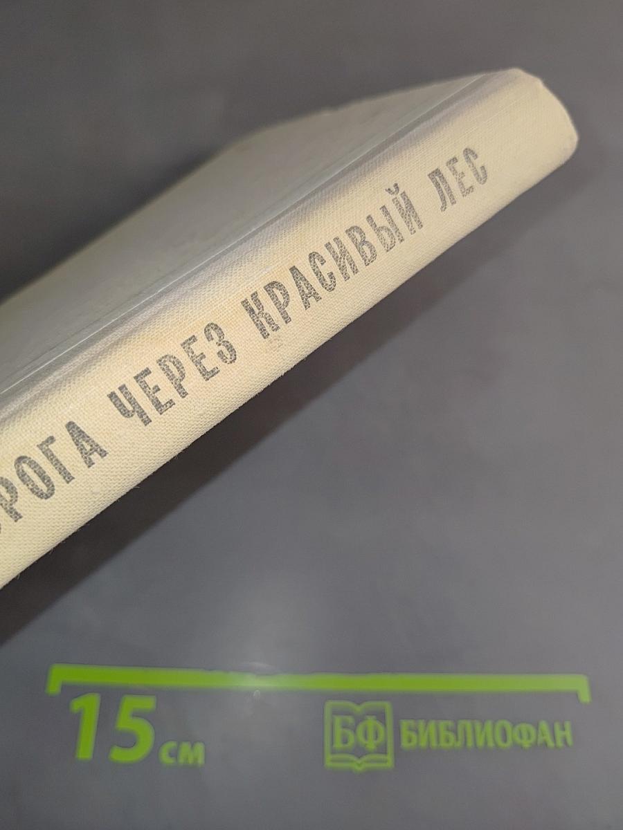 Дорога через красивый лес