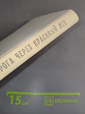 Дорога через красивый лес
