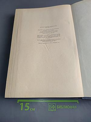 История русской литературы XIX века. Том I
