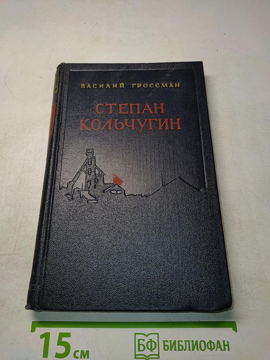 Степан Кольчугин. Роман в двух книгах. Книга первая